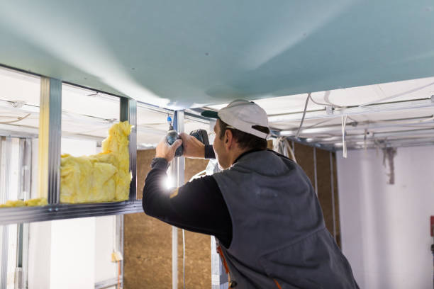 Best Residential Insulation in Kodi, AK