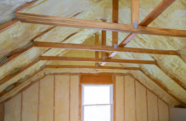 Best Spray Foam Insulation in Kodi, AK