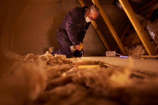 Best Cellulose Insulation in Kodi, AK